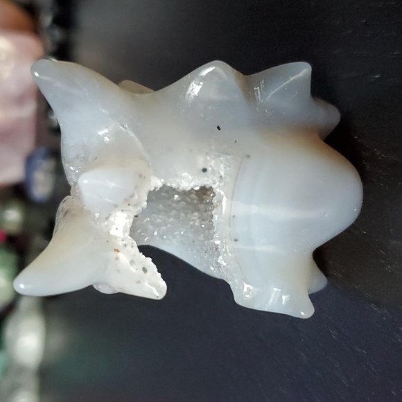 Dendritic blue agate dragon skull with druzy 🐲💀 - Picture 5 of 8